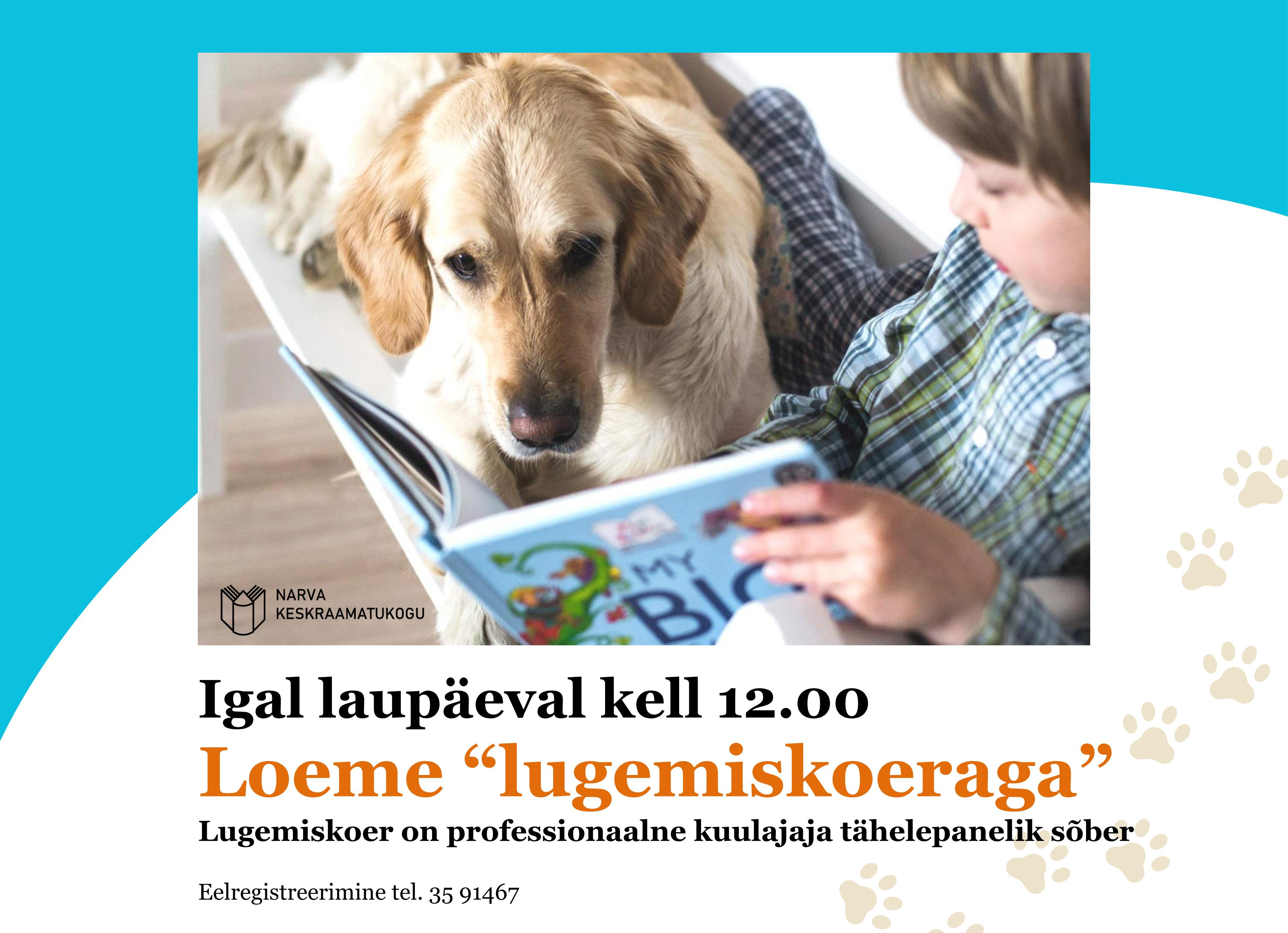 partner 6